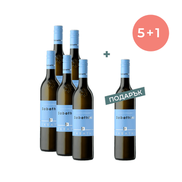 Sabathini Südsteiermark DAC 2019, Erwin Sabathi 0.75 5+1 Gift