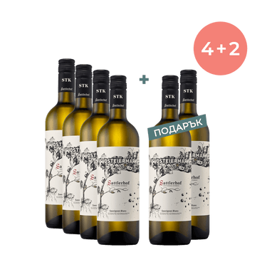 Sauvignon Blanc Südsteiermark DAC Bio 2019, Sattlerhof 0.75 4+2 Подарък