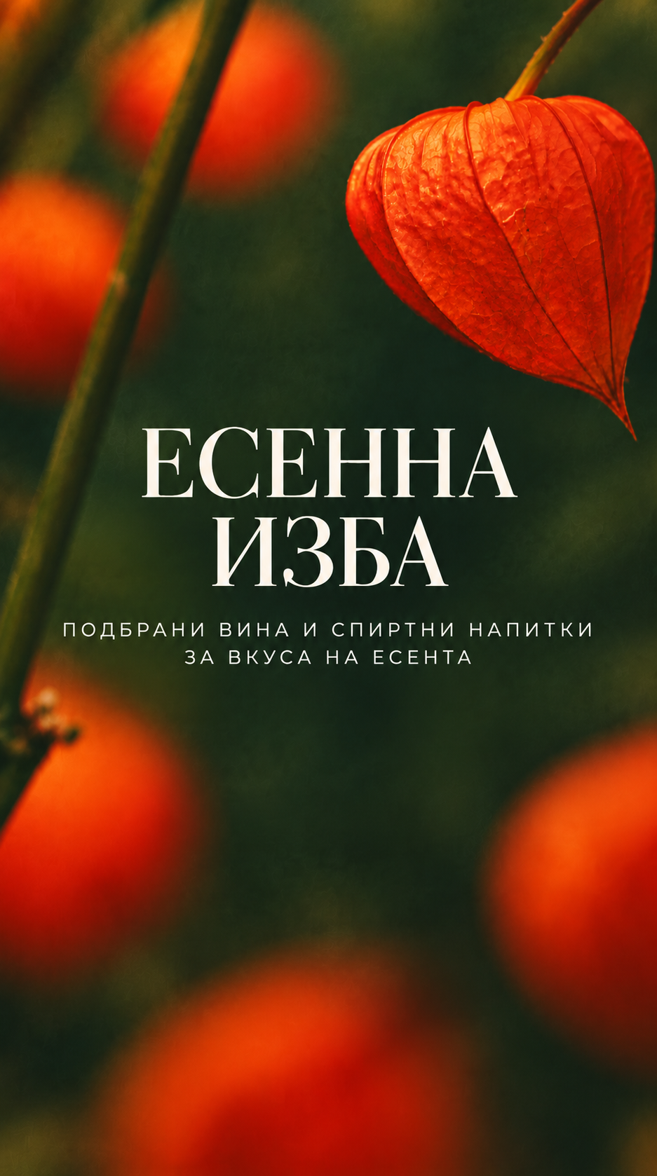 slideshow mobile background image