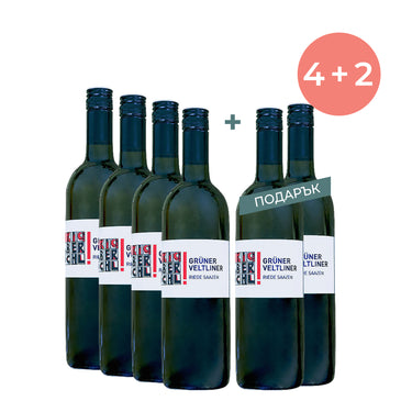 Gruner Veltliner Ried Saazen Organic 2019, Faber & Kochl 0.75