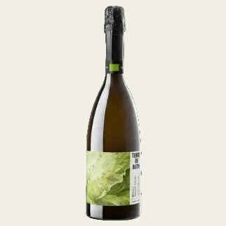 Terre dei Buth Spumante Brut Special Cuvee Bio 0.75