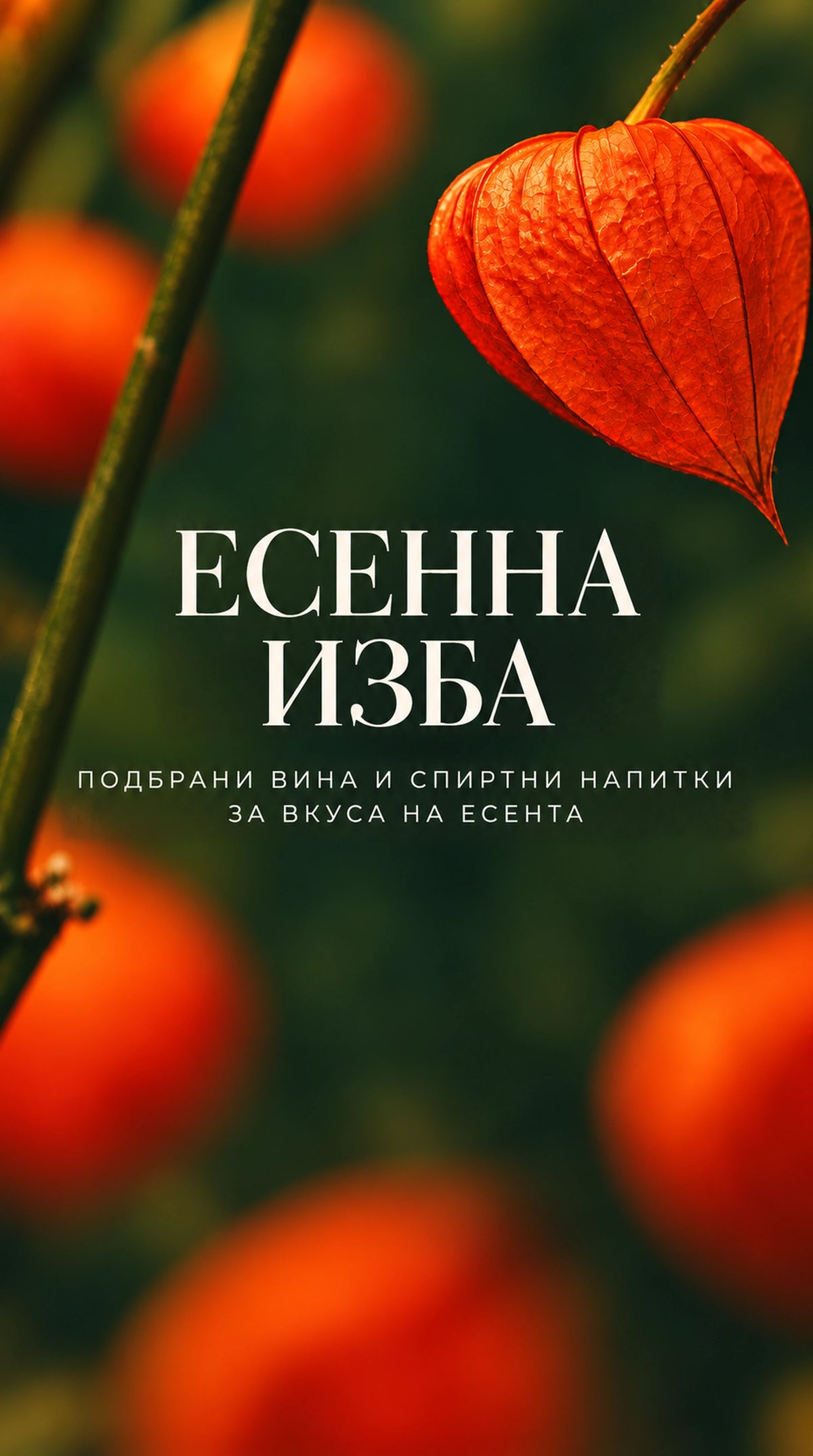 slideshow mobile background image